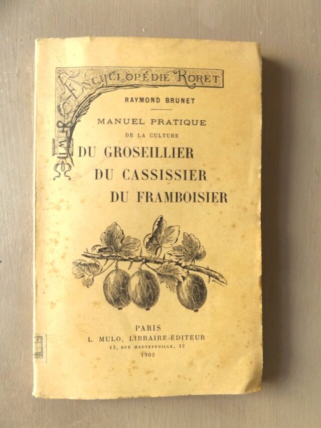 BRUNET, Raymond : "Manuel pratique de la culture du groseillier, du cassissier, du framboisier contenant étude botanique - variétés - culture - taille - récolte - ennemis - préparations culinaires."