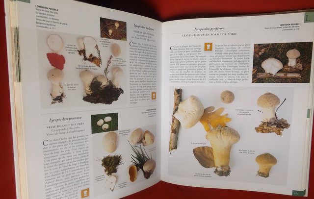 LE GRAND LIVRE DES CHAMPIGNONS