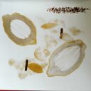DUCASSE, Alain  -  MORET, Christophe  -  ROBERT, Frédéric  -  LUVARA, Massimo  -  BELLIN, David  -  NEYRAT, Paule.   : « Spoon cook book. »     – Image 9