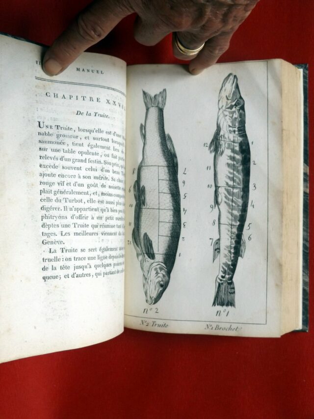 GRIMOD de LA REYNIERE, Alexandre Balthazar Laurent : « Manuel des amphitryons..." – Image 2