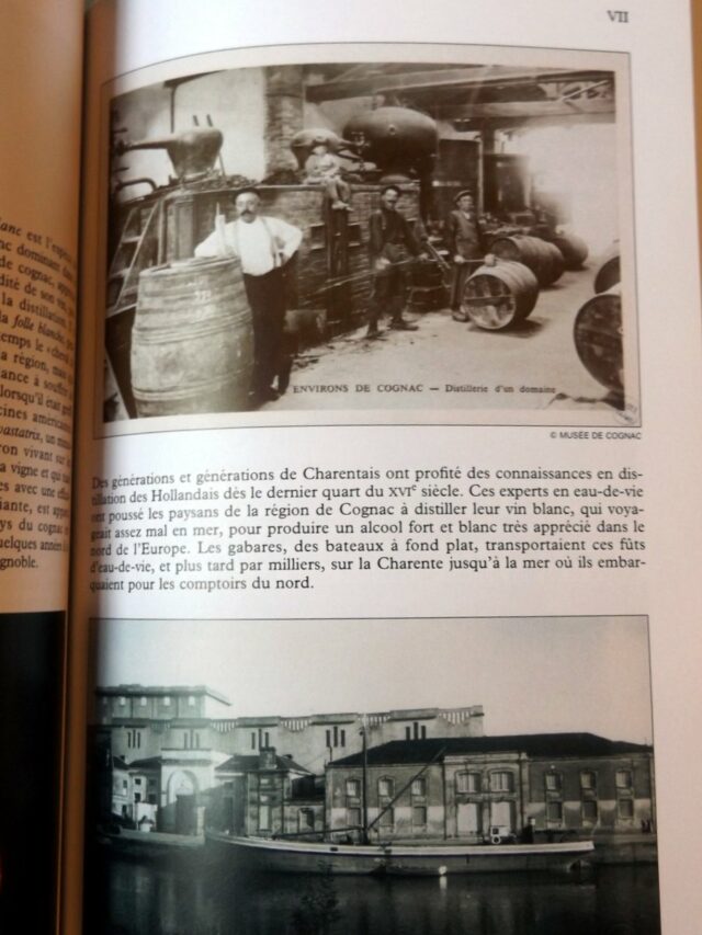 JARRARD, Kyle. : « Cognac, la saga d'un esprit. » – Image 3