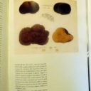 ROBUCHON, Joël  -  de RABAUDY, Nicolas : « .Les dimanches de Joël Robuchon. » – Image 3