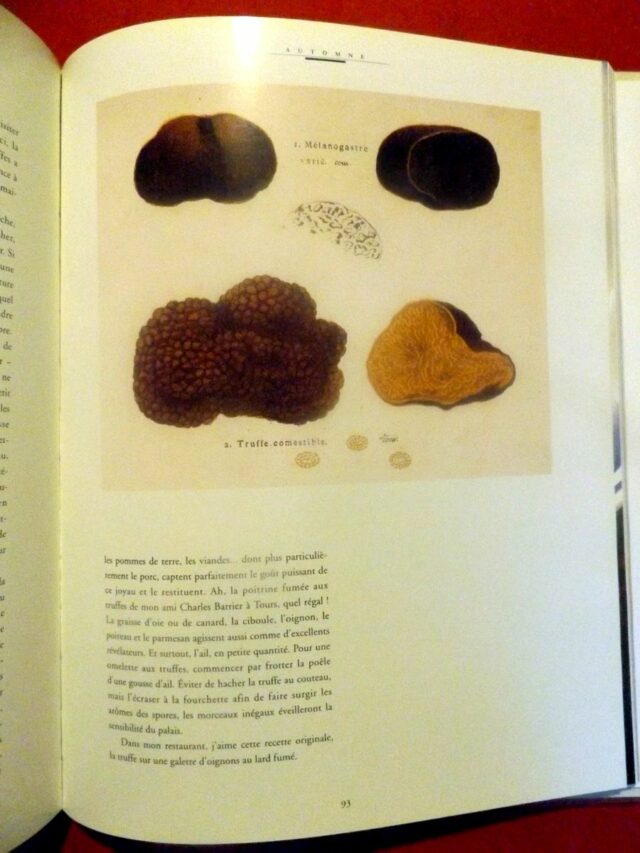 ROBUCHON, Joël  -  de RABAUDY, Nicolas : « .Les dimanches de Joël Robuchon. » – Image 3