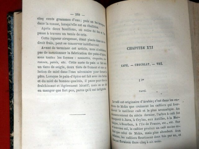 DEBAY, Auguste. : « Hygiène alimentaire. Histoire simplifiée de la digestion des aliments et des boissons à l'usage des gens du monde. » – Image 2