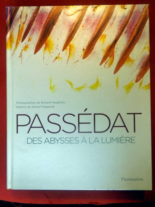 PASSEDAT, Géralde  -  HAUGHTON, Richard  -  TRAQUANDI, Gérard. : «  Des abysses à la lumière. »