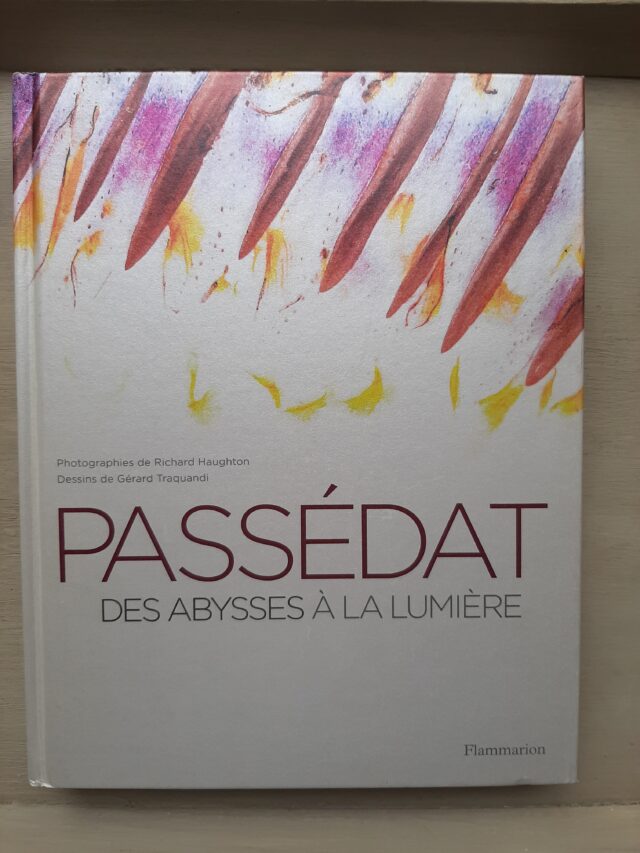PASSEDAT, Gérald  -  HAUGHTON, Richard  -  TRAQUANDI, Gérard.  :   Des abysses à la lumière.          