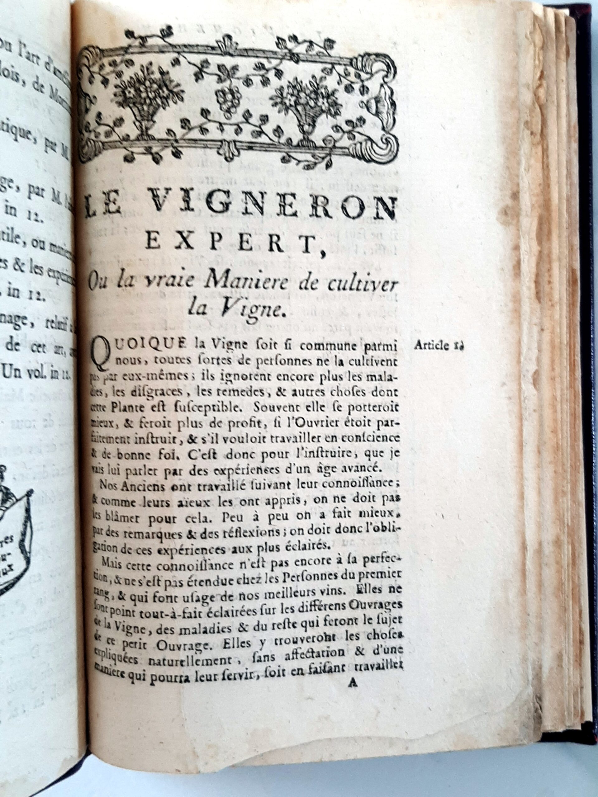 LAVOCAT, Antoine : "Le Vigneron expert, ou la vraie manière de cultiver la vigne. – Image 3