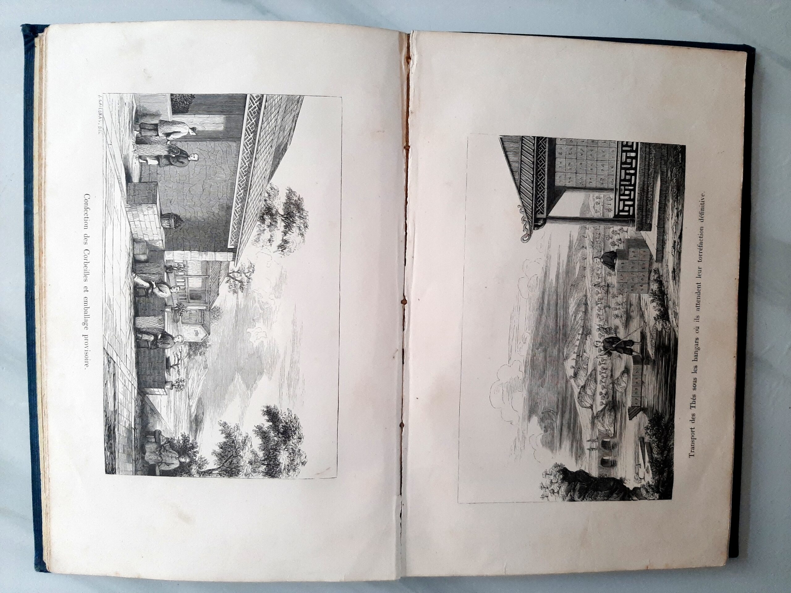 HOUSSAYE, J.-G. – “Monographie du thé. Description botanique, torréfaction, composition chimique, propriétés hygiéniques de cette feuille.” – Image 3