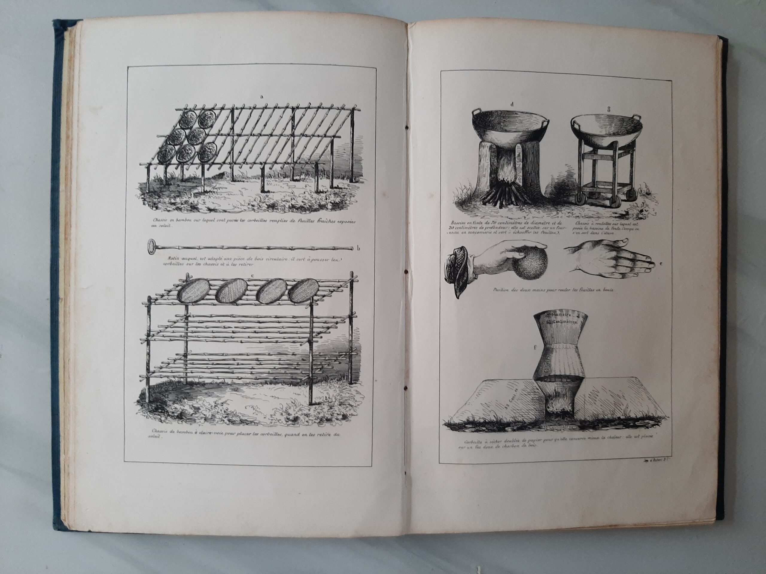 HOUSSAYE, J.-G. – “Monographie du thé. Description botanique, torréfaction, composition chimique, propriétés hygiéniques de cette feuille.” – Image 4